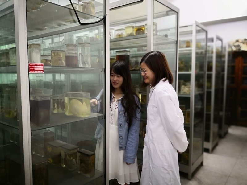 /crm/product/image/20201109/1604904605467019781.jpg /crm/product/image/20201109/1604904605467019781.jpg