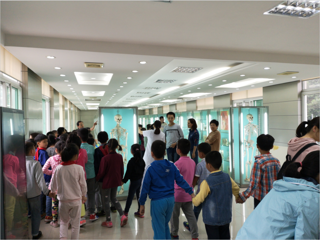 /crm/product/image/20201109/1604904753255031008.jpg /crm/product/image/20201109/1604904753255031008.jpg