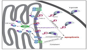 /crm/product/image/20201109/1604906324629063063.jpg 1604906324629063063.jpg
