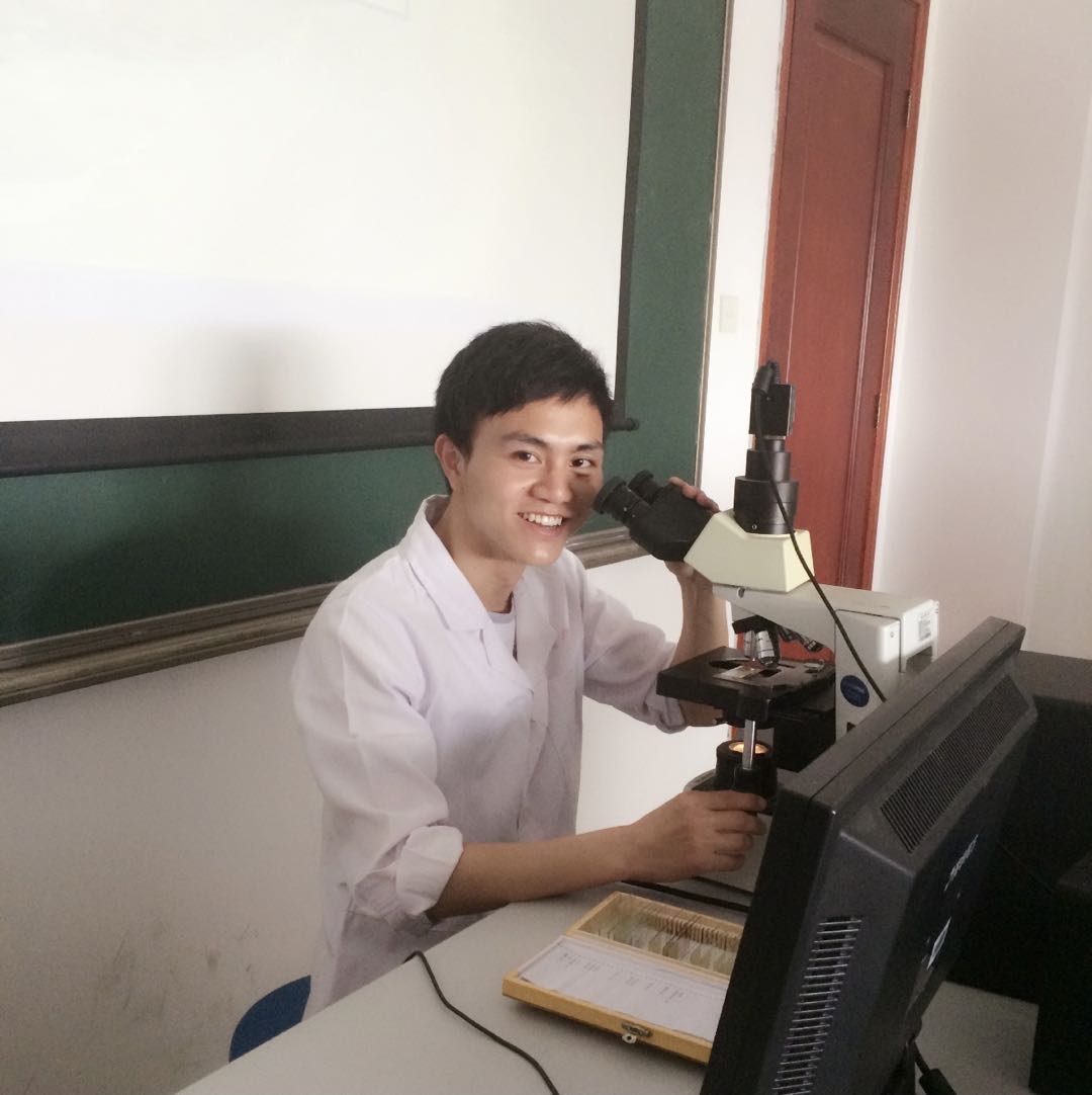 /crm/product/image/20220724/1658715578030051838.jpg /crm/product/image/20220724/1658715578030051838.jpg